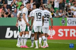 德甲 斯图加特 VS 门兴格拉德巴赫 分析