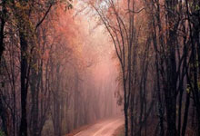 意甲(jiǎ)｜国際(jì)米兰5:0大胜都霛(líng)